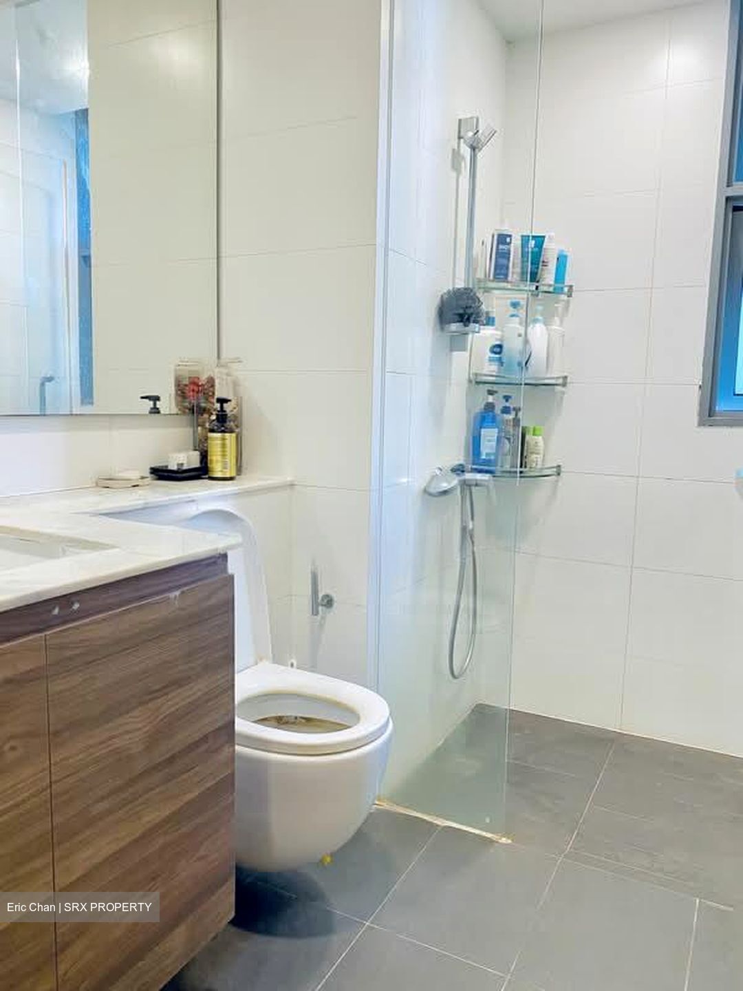 Double Bay Residences (D18), Condominium #606456501